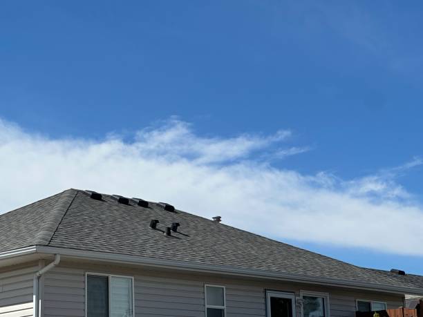 Best Storm Damage Roof Repair  in Noroton Heights, CT